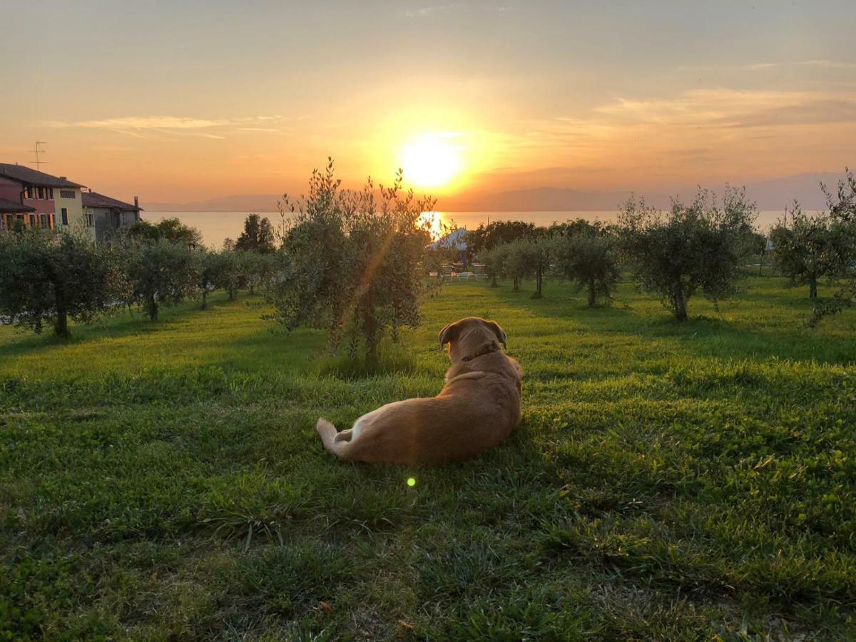 Agriturismo Al-Bor Lazise Eksteriør bilde